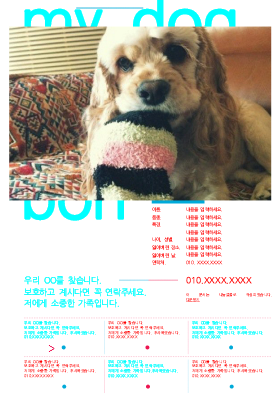 강아지를 찾습니다_2002 강아지를 찾습니다_2002